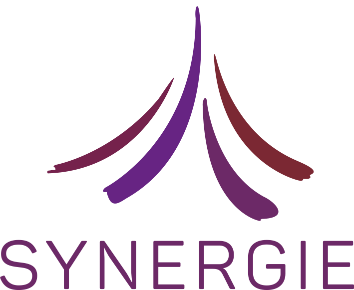 SYNERGIE_logo_RVB
